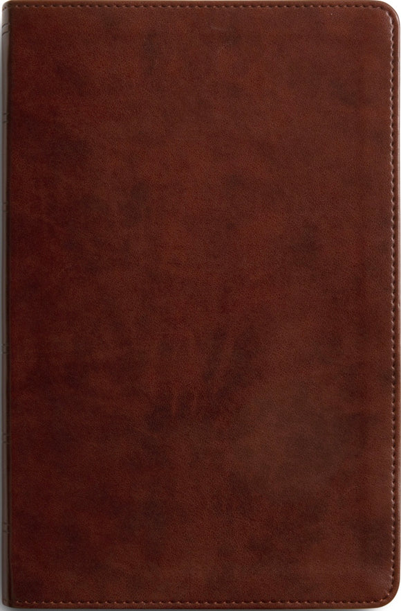 ESV Large Print Personal Size Bible - TruTone, Chestnut