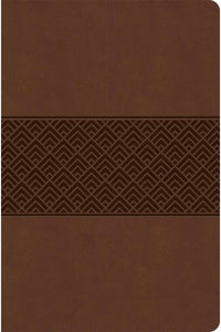 CSB: Everyday Study Bible - Brown, LeatherTouch