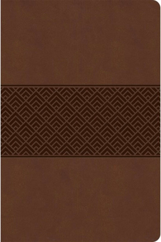 CSB: Everyday Study Bible - Brown, LeatherTouch