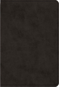 ESV Value Large Print Compact Bible - TruTone, Black