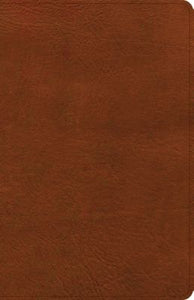 CSB: Thinline Reference Bible - Burnt Sienna, LeatherTouch