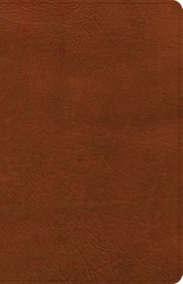 CSB: Thinline Reference Bible - Burnt Sienna, LeatherTouch