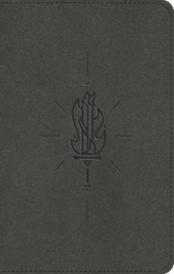 ESV Kid's Bible Compact, TruTone, Sword of the Spirit Design