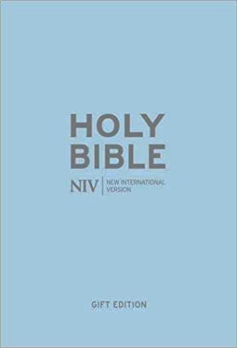 NIV Bible Pastel Blue