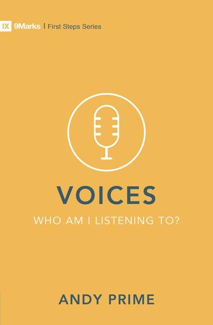 Voices – Who am I listening to?
