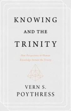 Knowing the Trinity: How Perspectives in Human Knowledge Imitate the Trinity