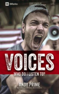Voices - Who am I listening To?