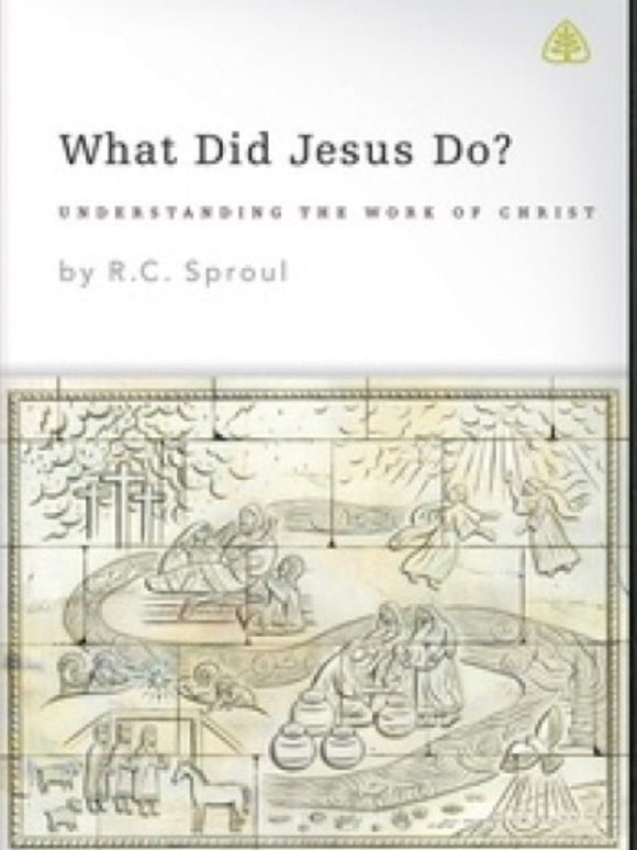 What Did Jesus Do? DVD