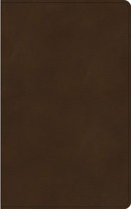 KJV Ultrathin Bible - Brown, Leathertouch
