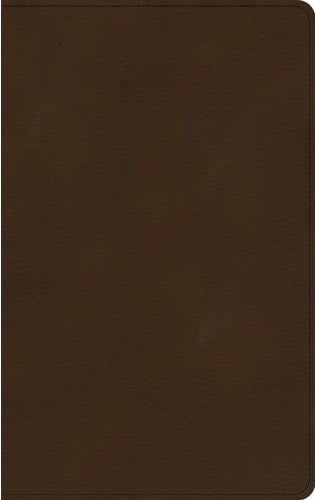 KJV Ultrathin Bible - Brown, Leathertouch
