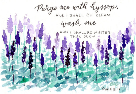 Purge me with Hyssop