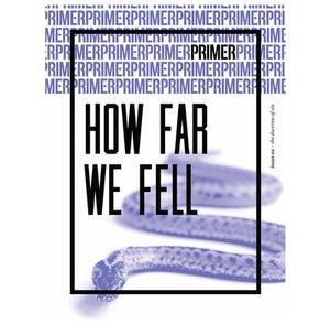 Primer 2: How Far We Fell