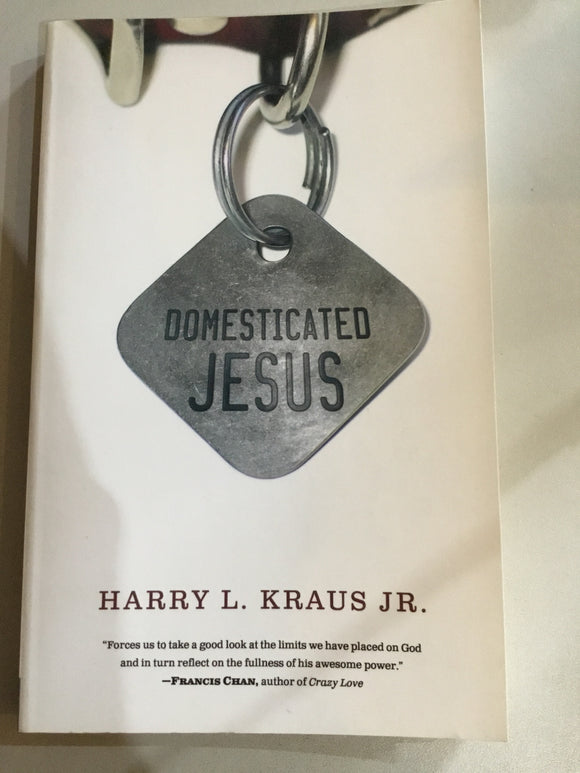Domesticated Jesus